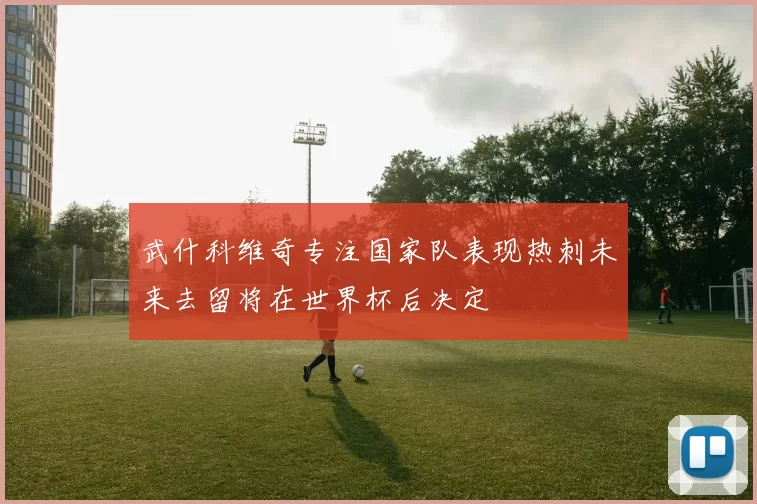 武什科维奇专注国家队表现热刺未来去留将在世界杯后决定