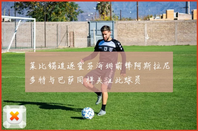 莱比锡追逐霍芬海姆前锋阿斯拉尼多特与巴萨同样关注此球员