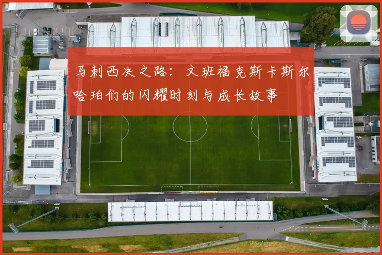 马刺西决之路：文班福克斯卡斯尔哈珀们的闪耀时刻与成长故事